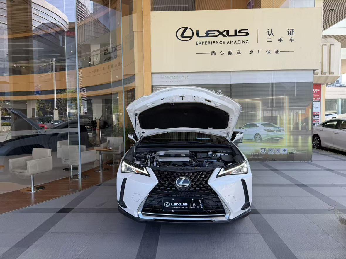 Lexus UX 2020 thumb 6