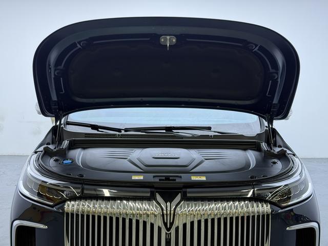Voyah PHEV 2025 thumb 8