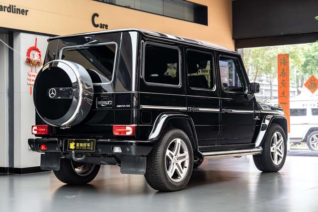 Mercedes-Benz G-Класс 2009 thumb 2