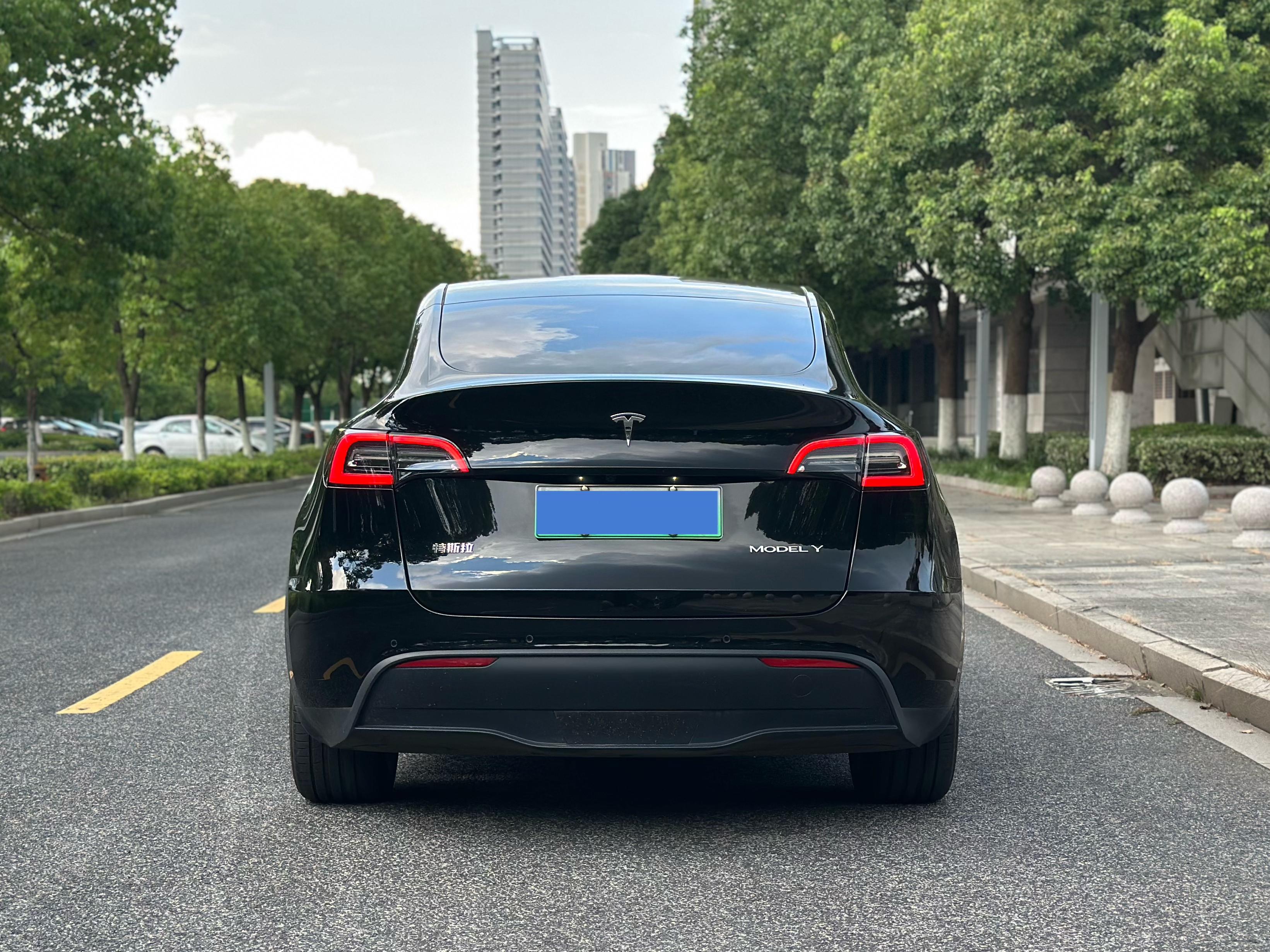 Tesla Model Y 2021 thumb 3
