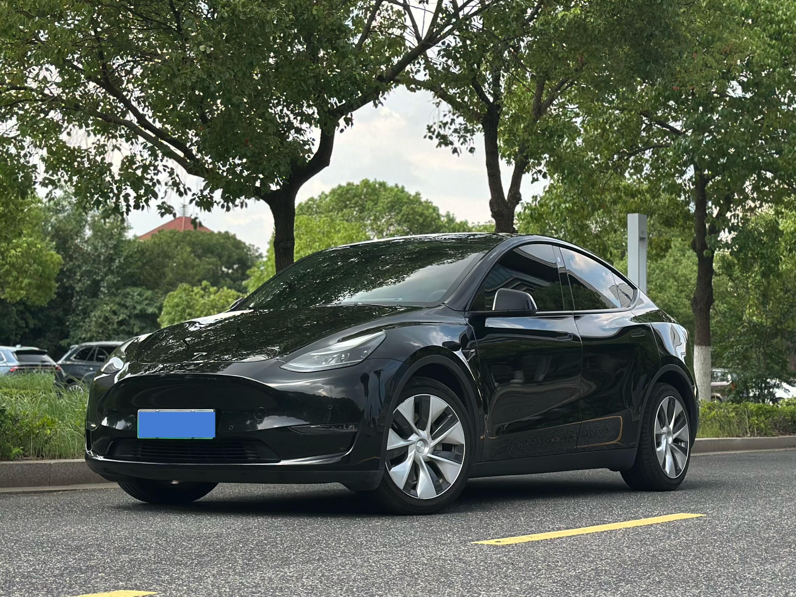 Tesla Model Y 2021 thumb 8