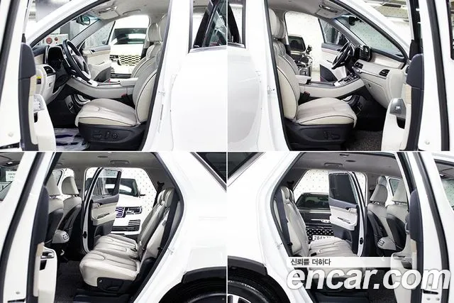 Hyundai Palisade 2019 thumb 12