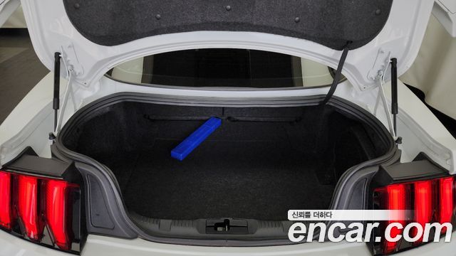 Ford Mustang Mach-E 2021 thumb 12