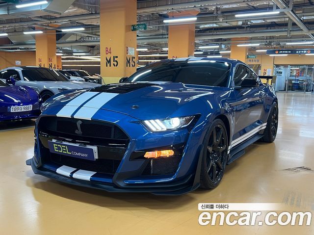 Ford Mustang Mach-E 2020 thumb 3
