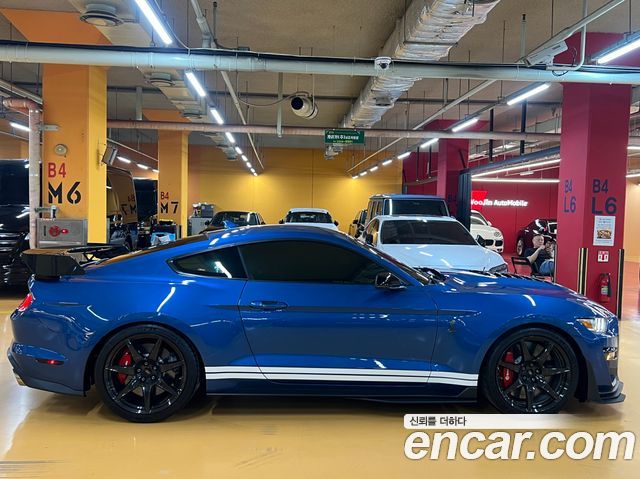 Ford Mustang Mach-E 2020 thumb 4