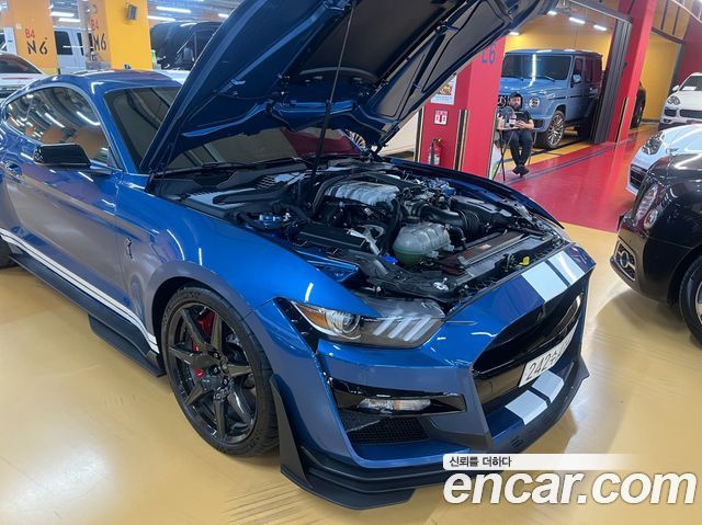 Ford Mustang Mach-E 2020 thumb 6