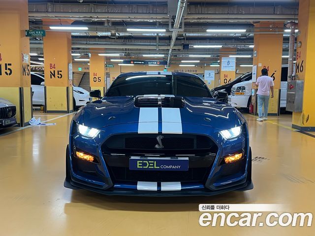 Ford Mustang Mach-E 2020 thumb 12