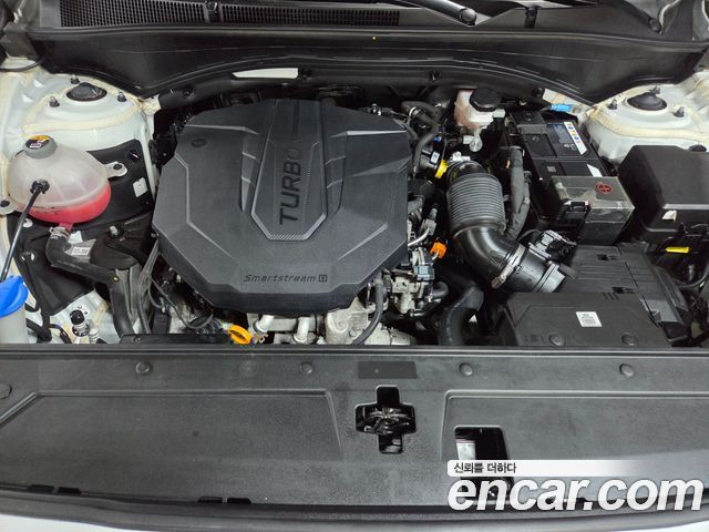 Hyundai Santa Fe 2020 thumb 6