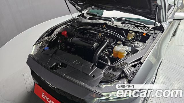 Ford Mustang Mach-E 2024 thumb 7