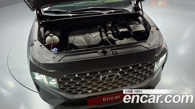 Hyundai Santa Fe 2020 thumb 6