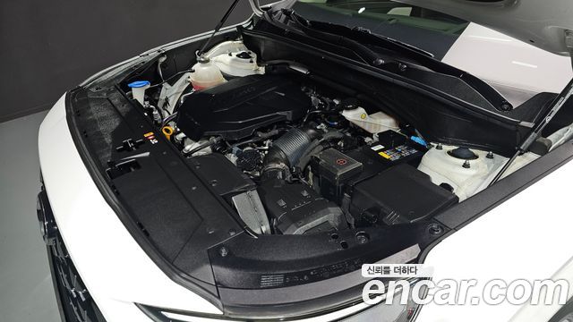 Hyundai Santa Fe 2020 thumb 6