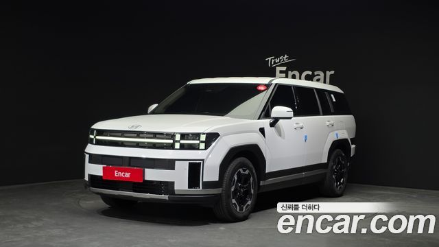 Hyundai Santa Fe 2024 thumb 2