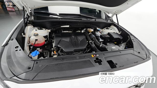 Hyundai Santa Fe 2021 thumb 7