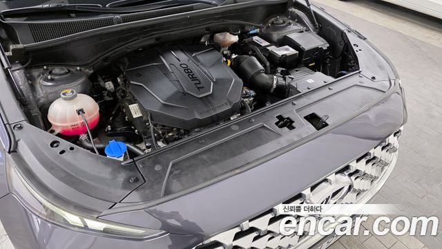 Hyundai Santa Fe 2020 thumb 6