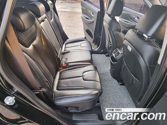 Hyundai Santa Fe 2019 thumb 12