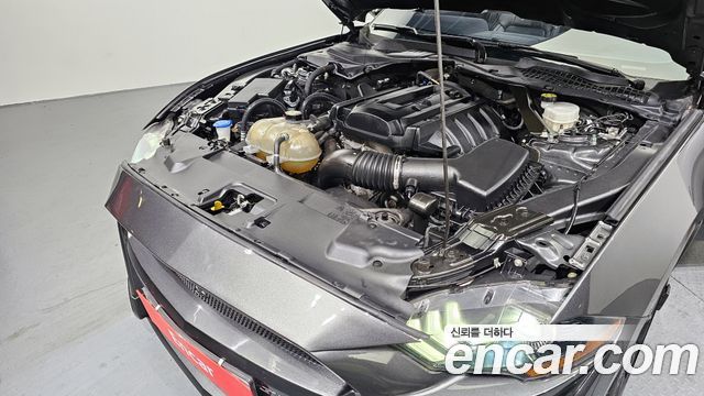 Ford Mustang Mach-E 2020 thumb 6
