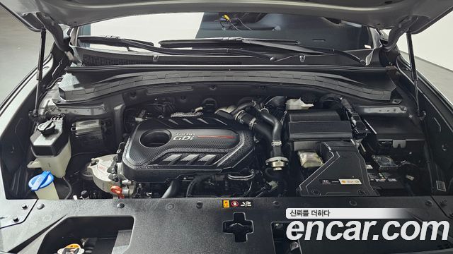 Hyundai Santa Fe 2019 thumb 7