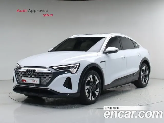 Audi Q8 e-tron 2024 thumb 12
