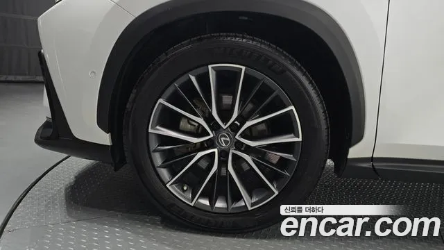 Lexus NX 350h 2023 thumb 10