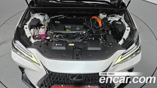 Lexus NX 350h 2023 thumb 6