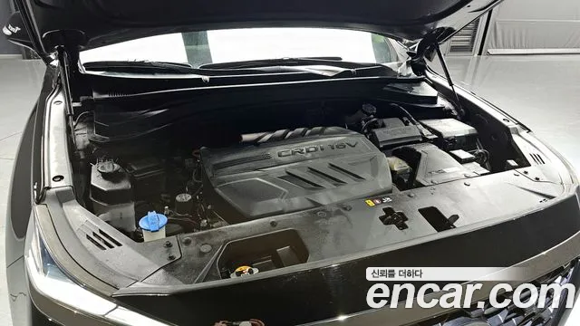 Hyundai Santa Fe 2019 thumb 2