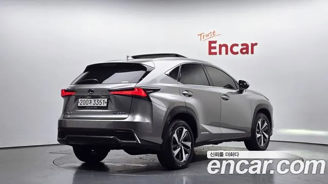 Lexus NX 2019 thumb 12