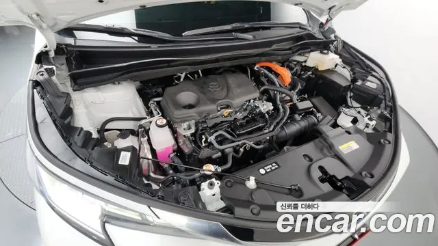 Toyota Sienna 2024 thumb 3