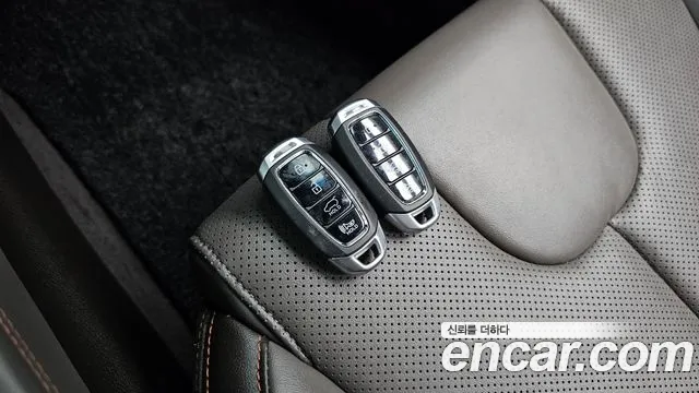 Hyundai Santa Fe 2019 thumb 7