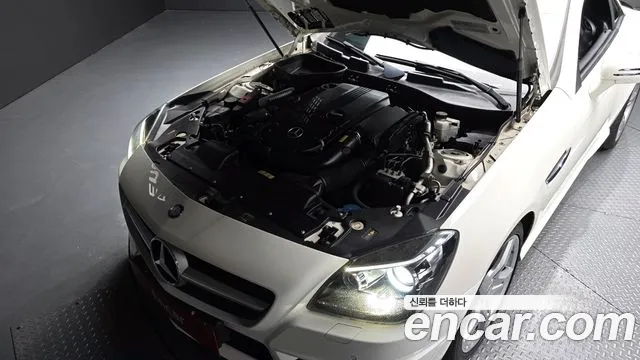 Mercedes-Benz SLK-Класс 2013 thumb 12