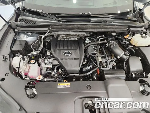 Lexus RX 500h 2024 thumb 6