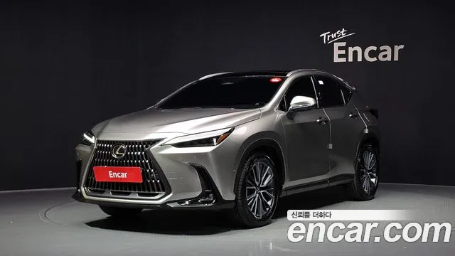 Lexus NX 350h 2025 thumb 12