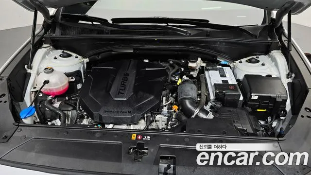 Hyundai Santa Fe 2020 thumb 9