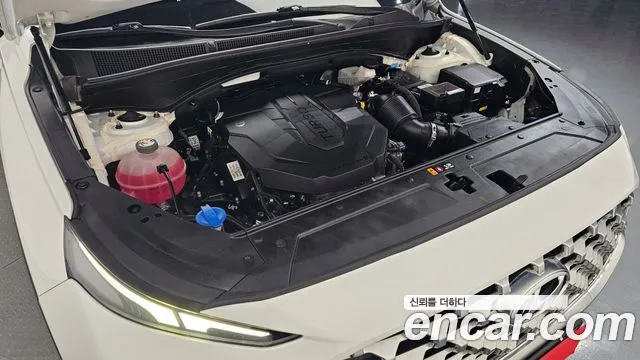 Hyundai Santa Fe 2020 thumb 6