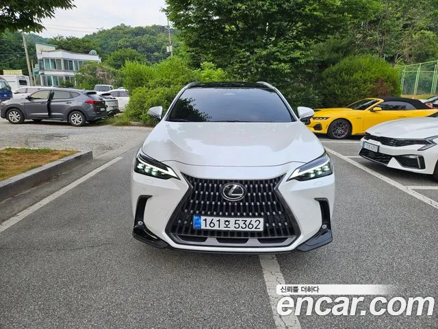 Lexus NX 350h 2024 thumb 2