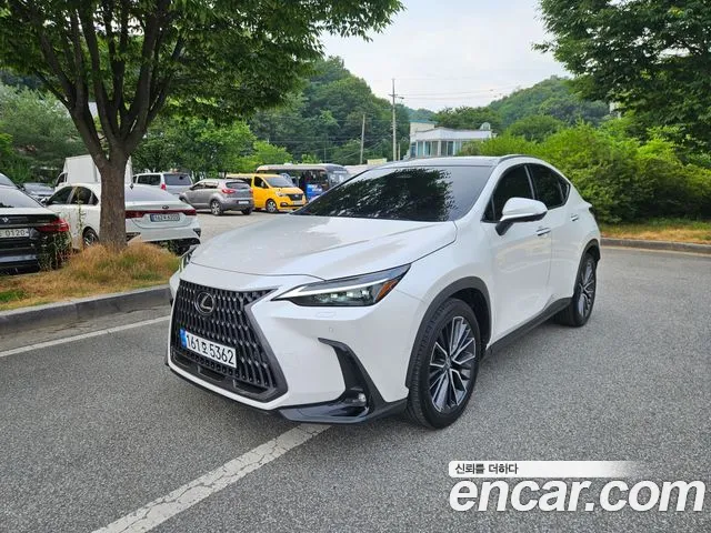 Lexus NX 350h 2024 thumb 6