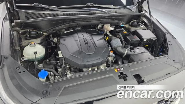 Hyundai Santa Fe 2020 thumb 5