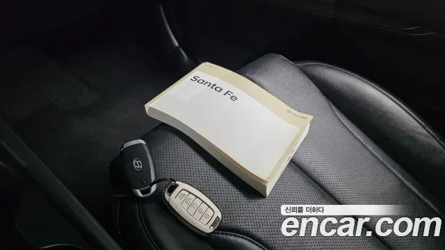 Hyundai Santa Fe 2019 thumb 10