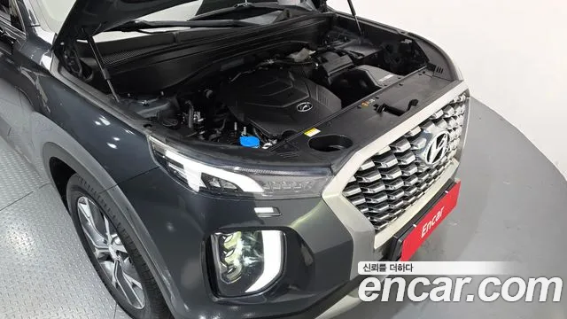 Hyundai Palisade 2019 thumb 12