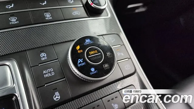 Hyundai Santa Fe 2020 thumb 6