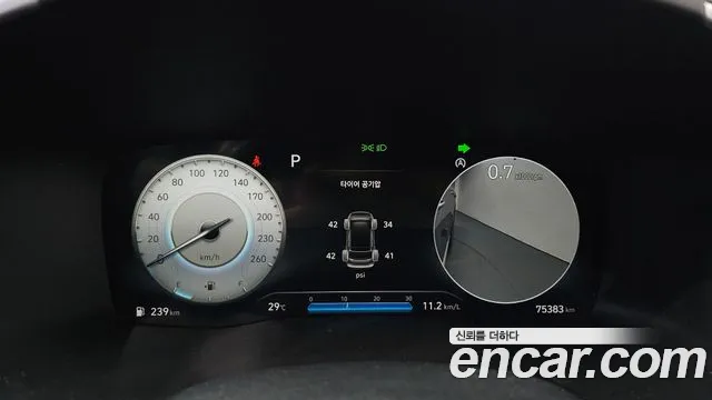 Hyundai Santa Fe 2020 thumb 5