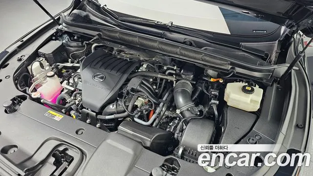 Lexus RX 500h 2024 thumb 12