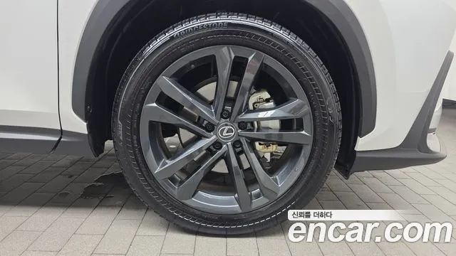 Lexus NX 350h 2024 thumb 3