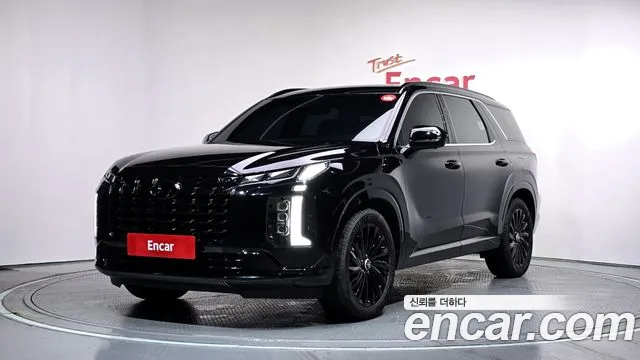 Hyundai Palisade 2024 thumb 12