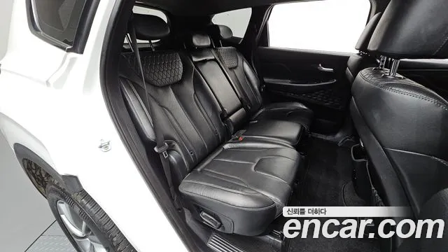 Hyundai Santa Fe 2019 thumb 10