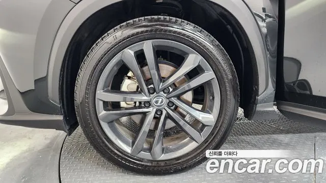 Lexus NX 350h 2025 thumb 11