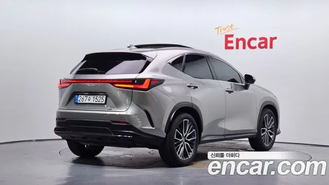 Lexus NX 350h 2024 thumb 8