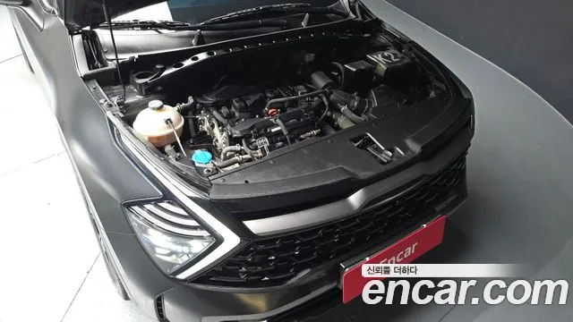 Kia Sportage 2022 thumb 12