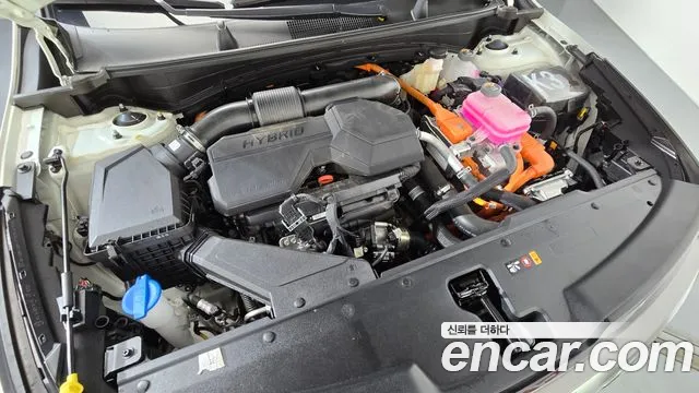 Kia Hybrid 2025 thumb 10
