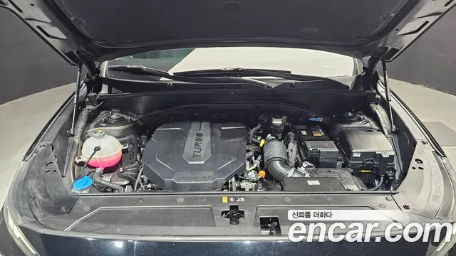 Hyundai Santa Fe 2021 thumb 2