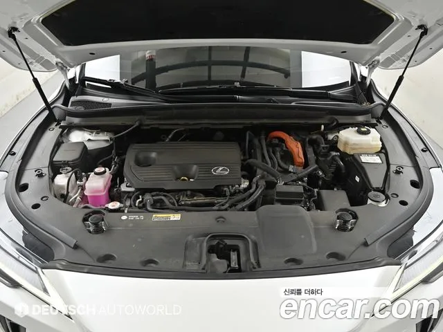 Lexus RX 350h 2024 thumb 9
